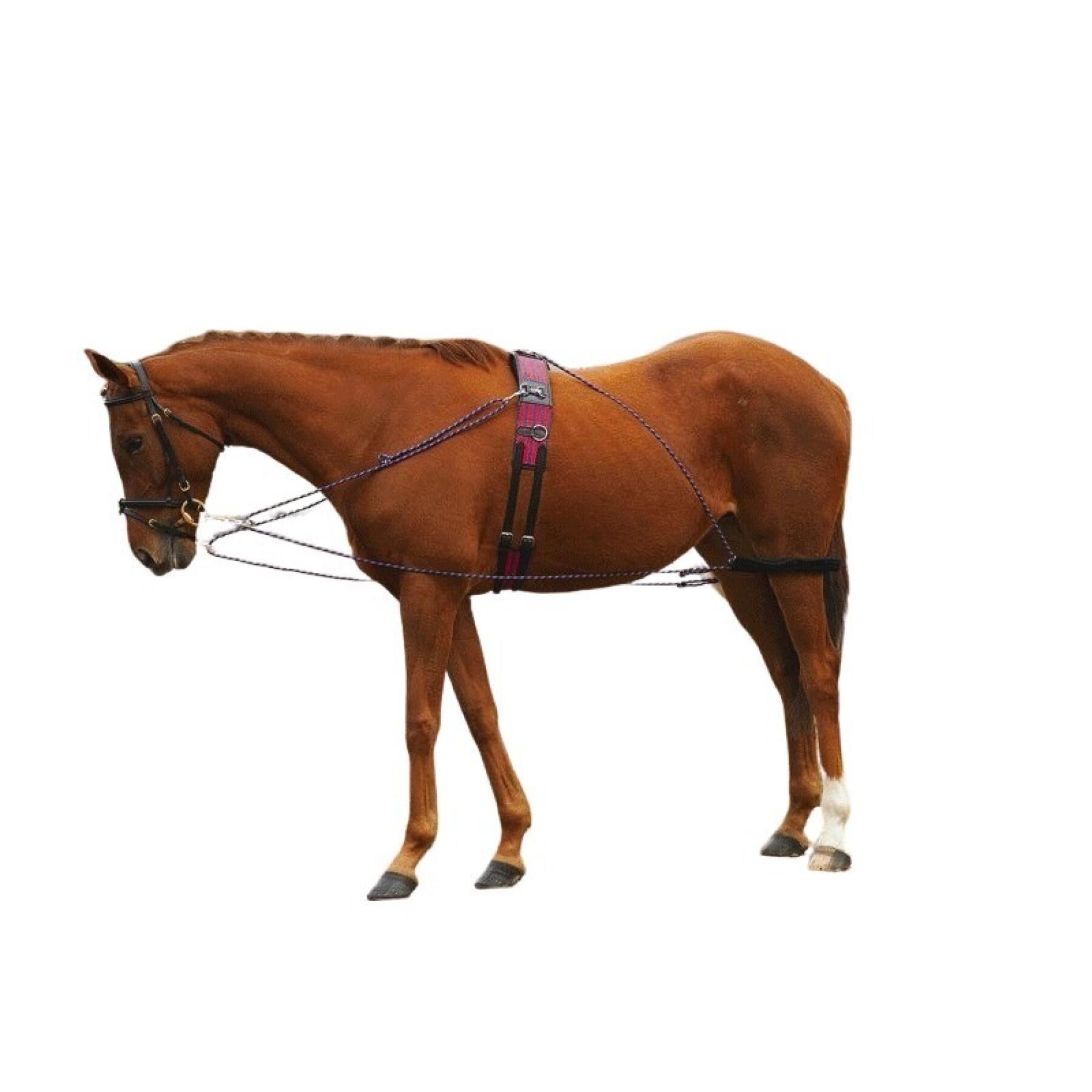 Lunging gear for compound horse Norton