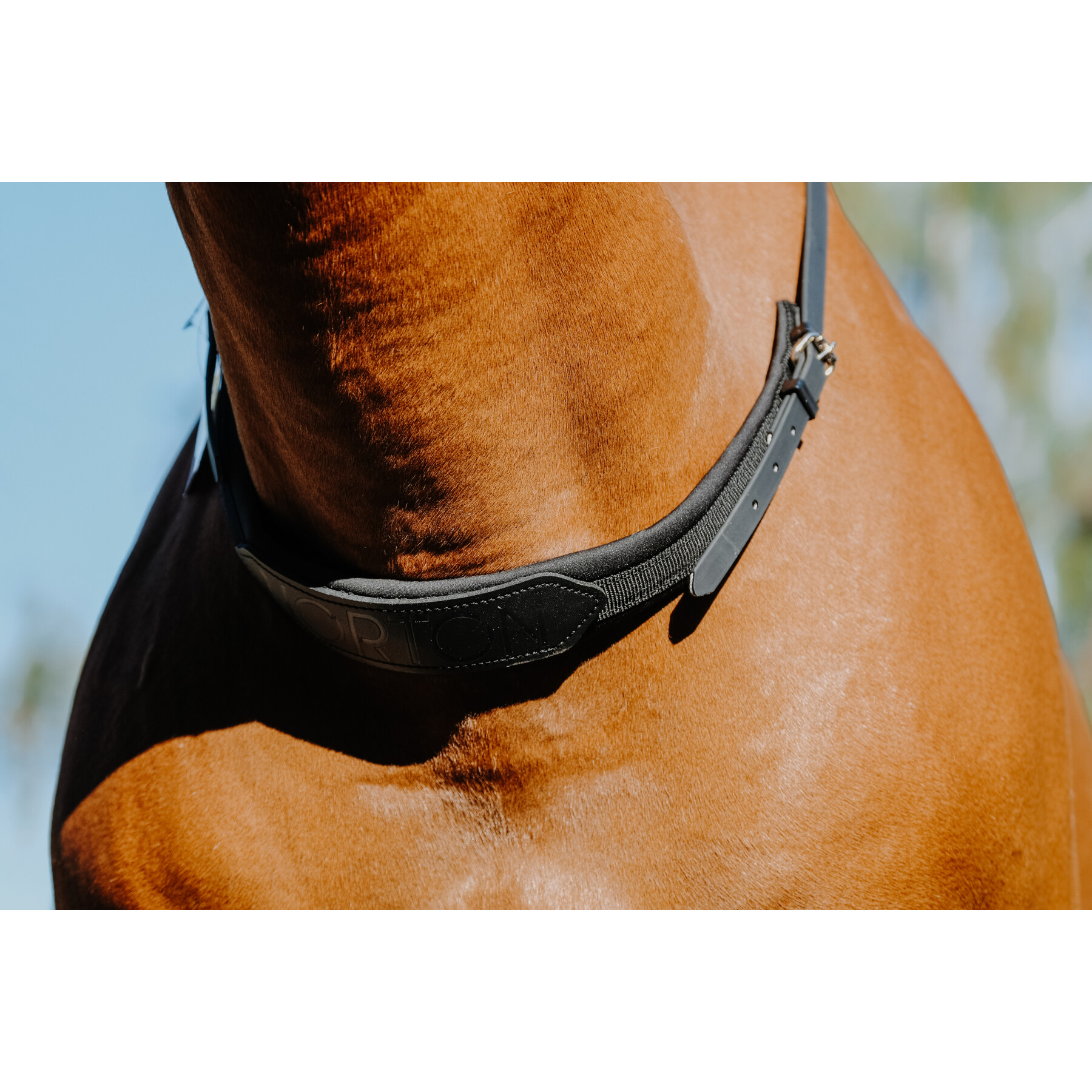 Necklace for bareback riding horses Norton