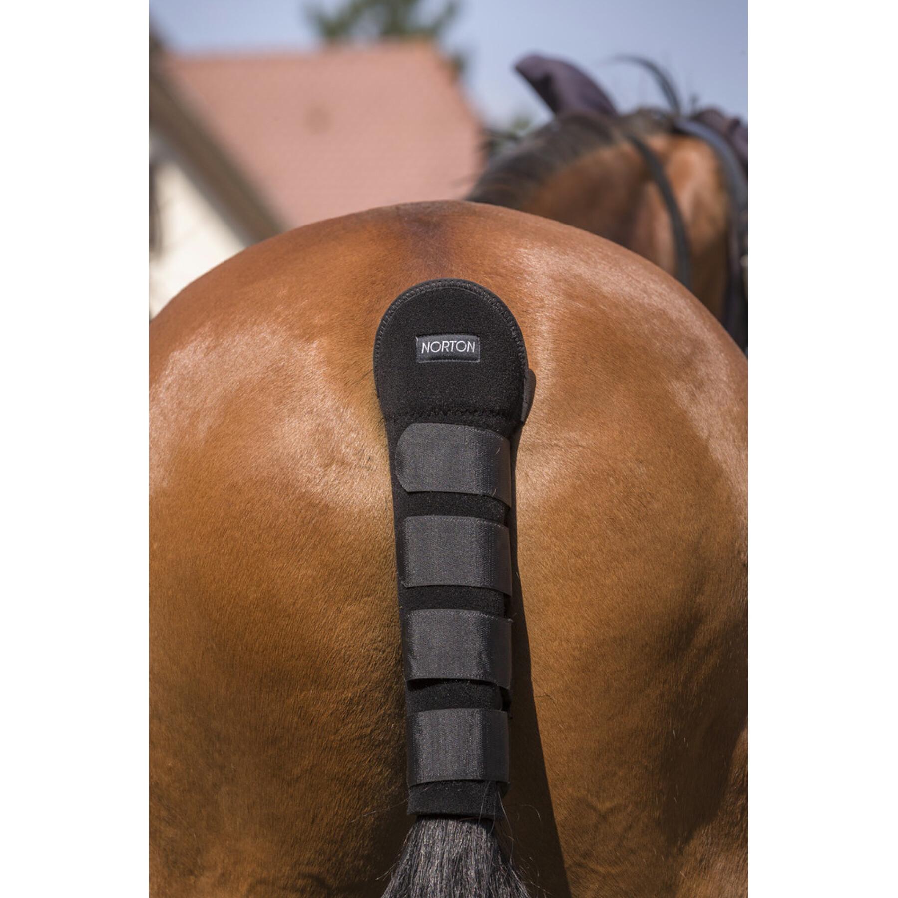 Tail Guard for horses Norton High Protection