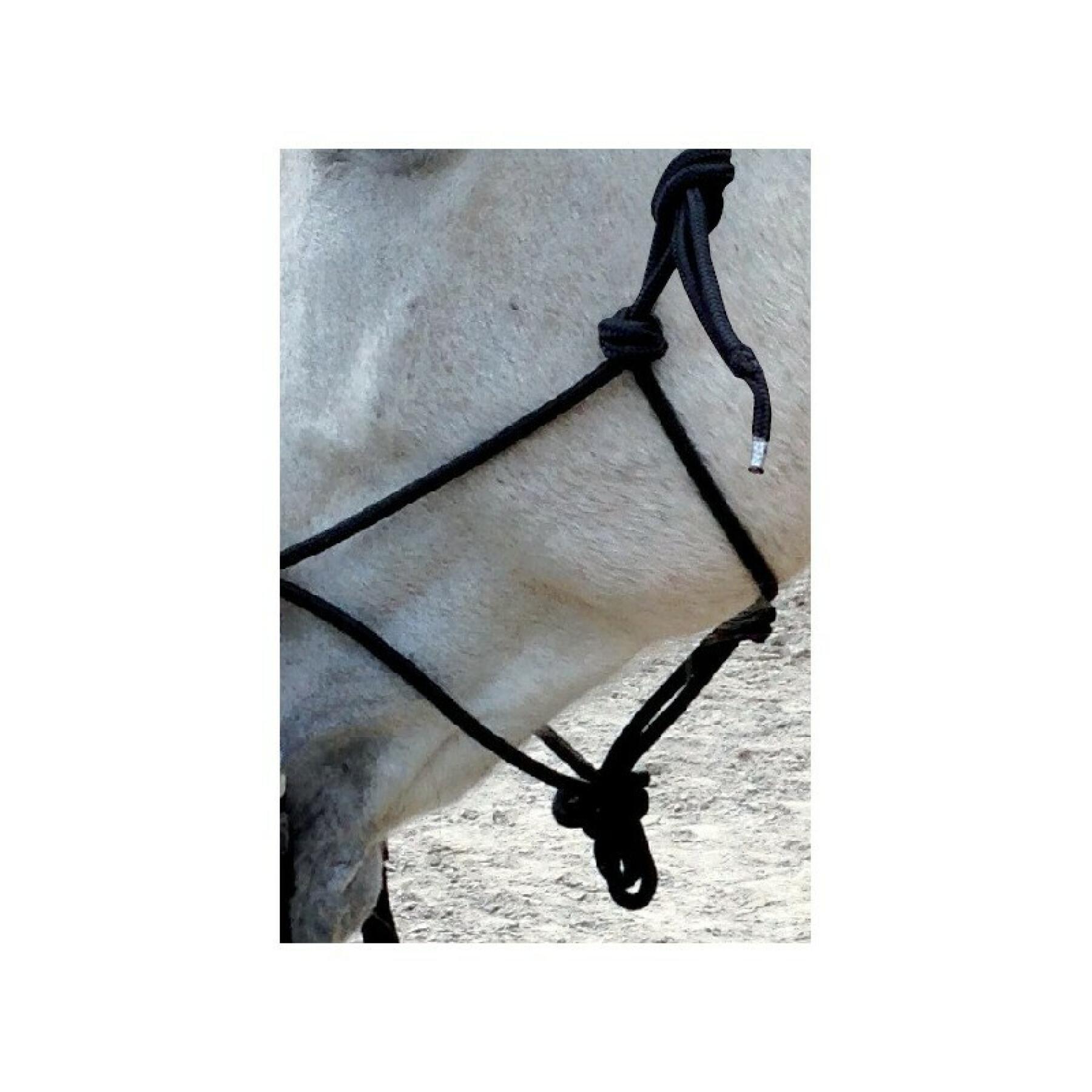 Ethological halter for horse with reins Norton