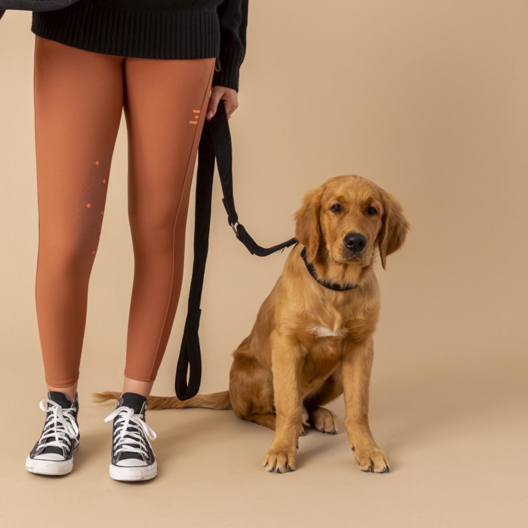 Dog collar & leash pack GEM