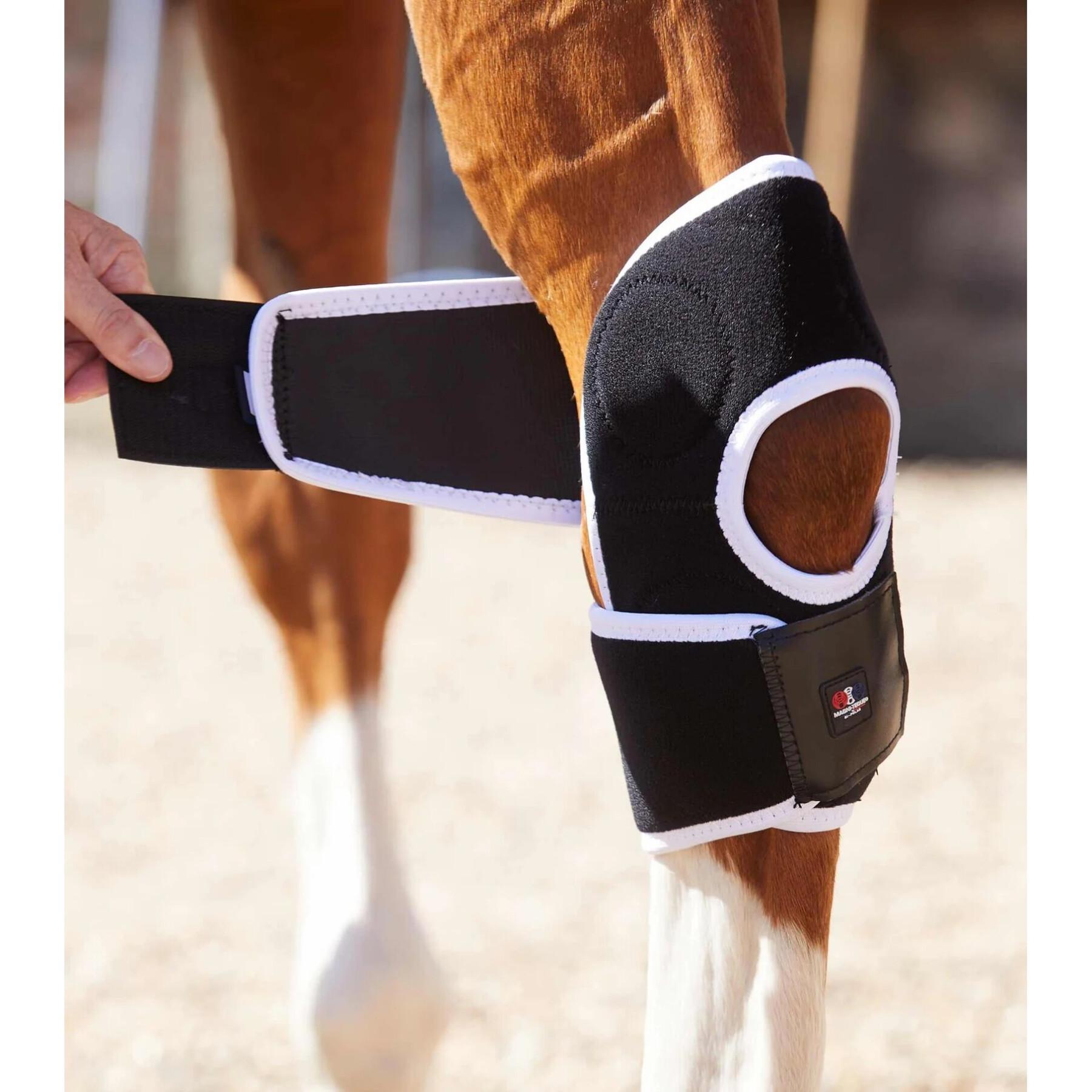 Magnetic knee protectors for horses Premier Equine Magni-Teque