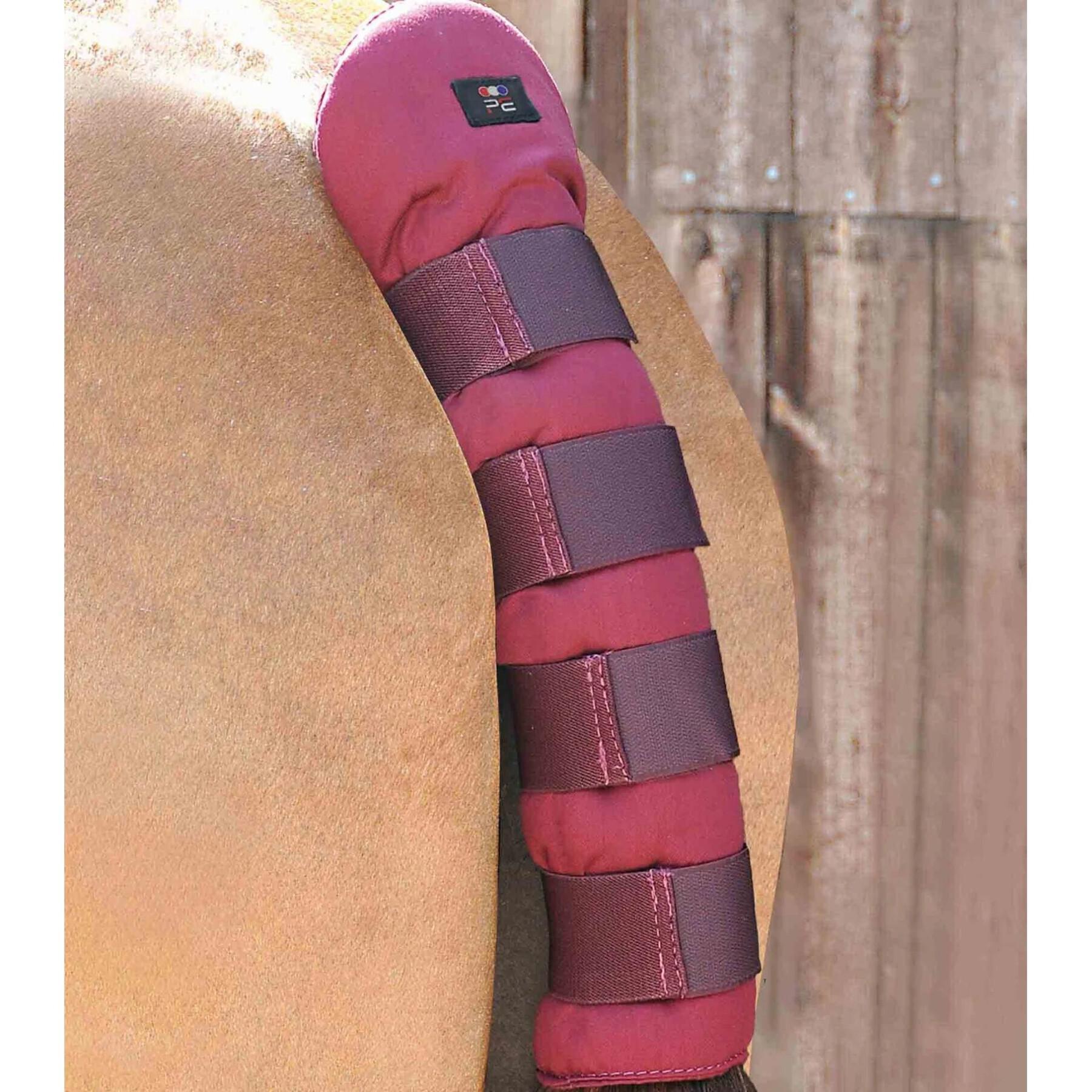 Tail Guard Premier Equine Stay-Up
