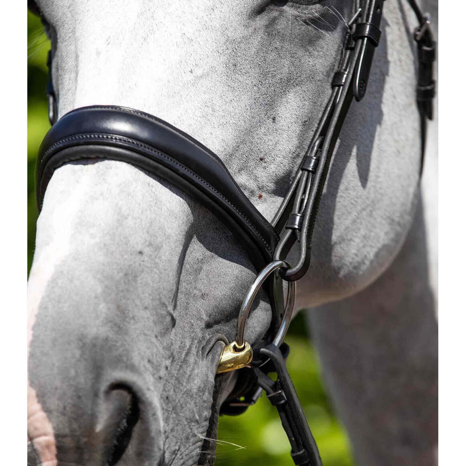Anatomical horse noseband Premier Equine Verdura Cavesson