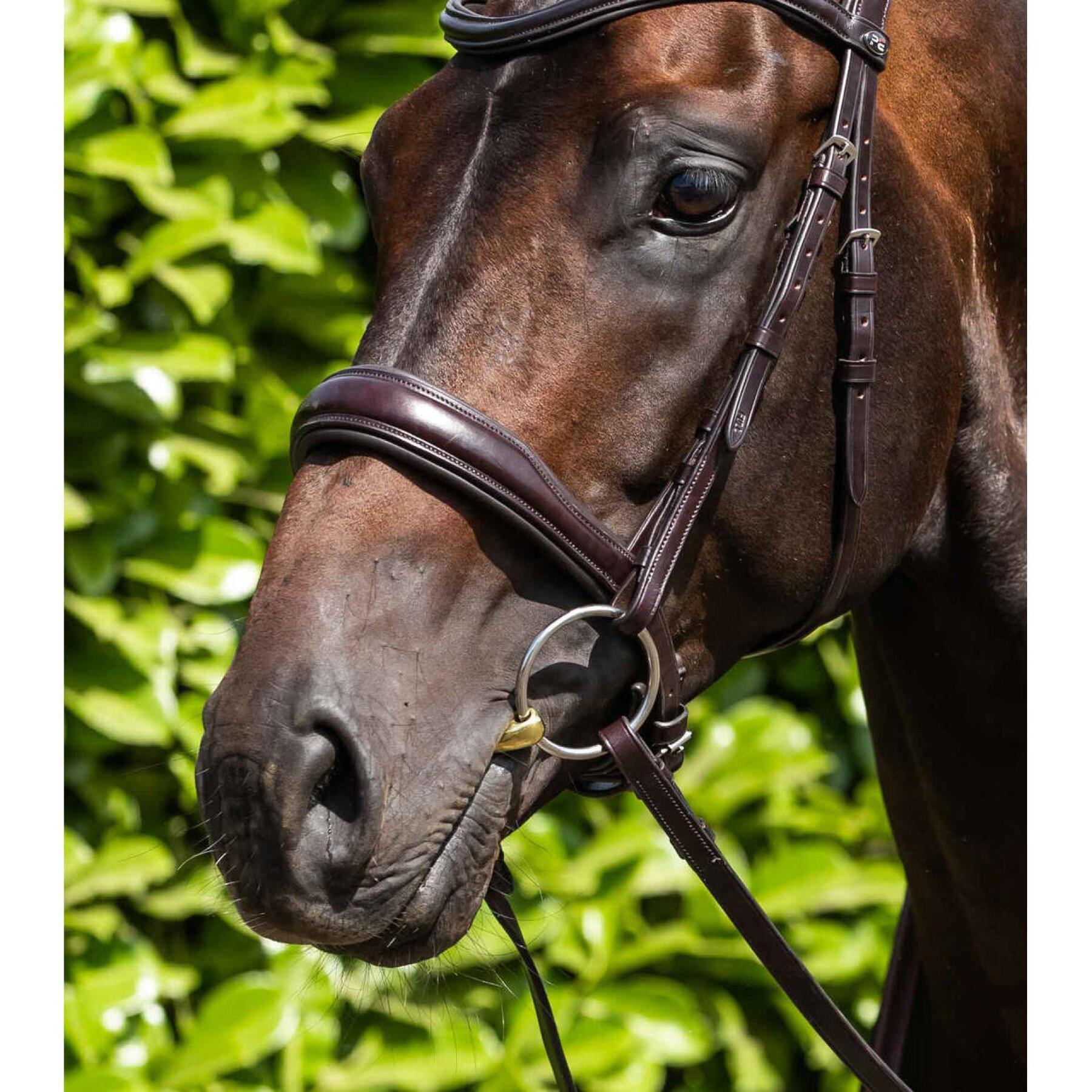 Brass olive bit for horses Premier Equine