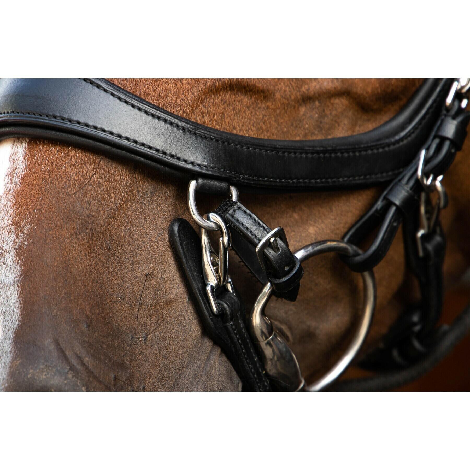 Elastic bit straps for horses Presteq