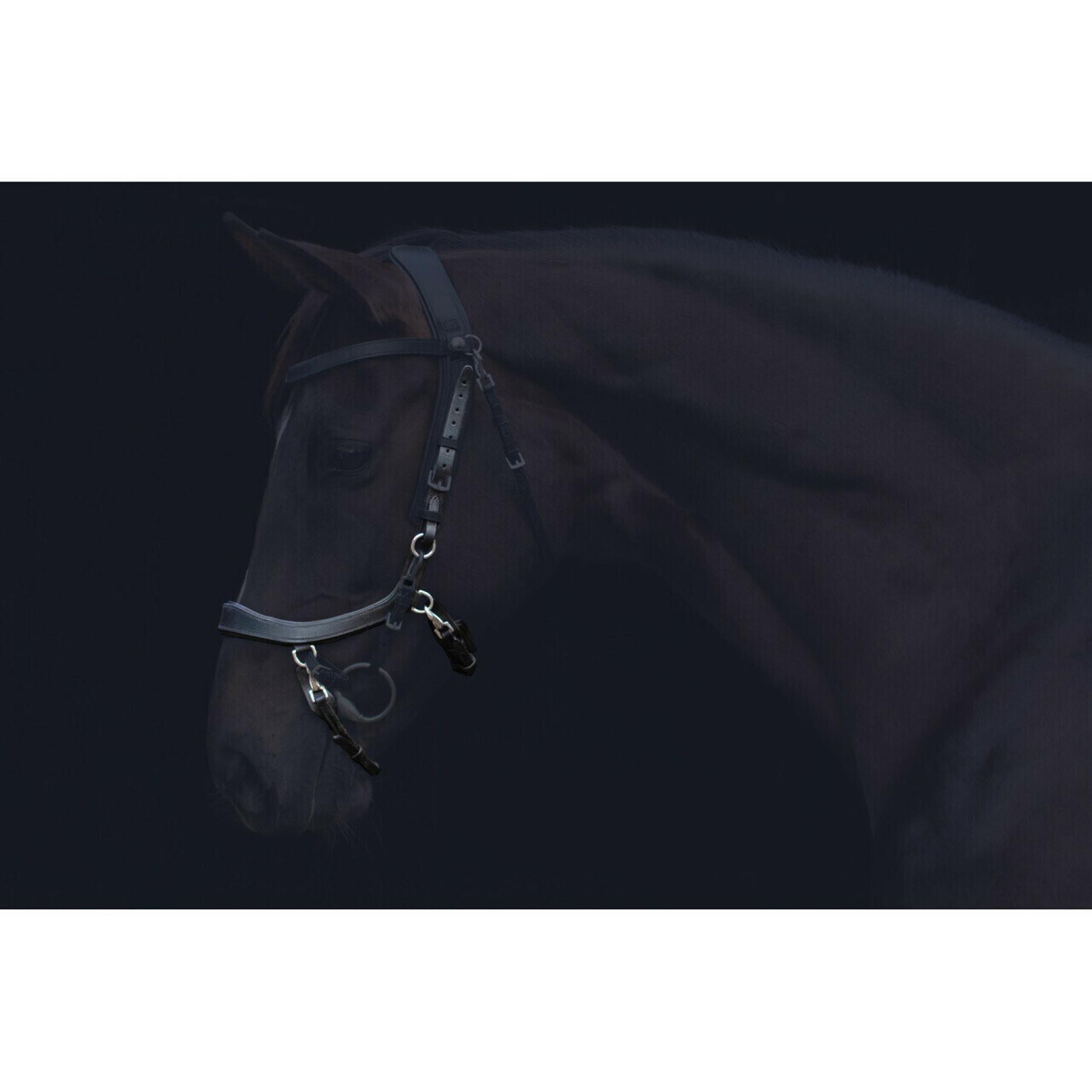 Horse noseband Presteq FaySport