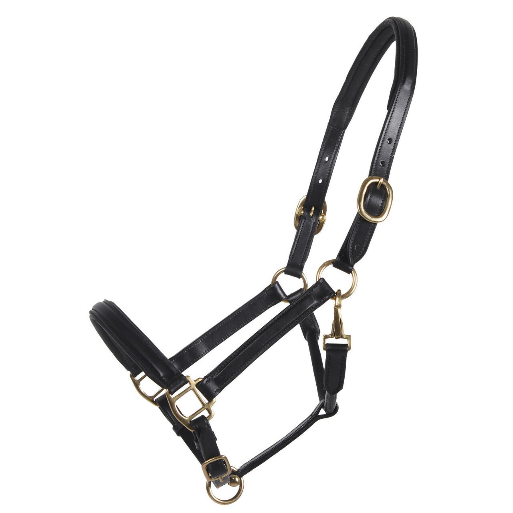 Leather halter QHP Delicate