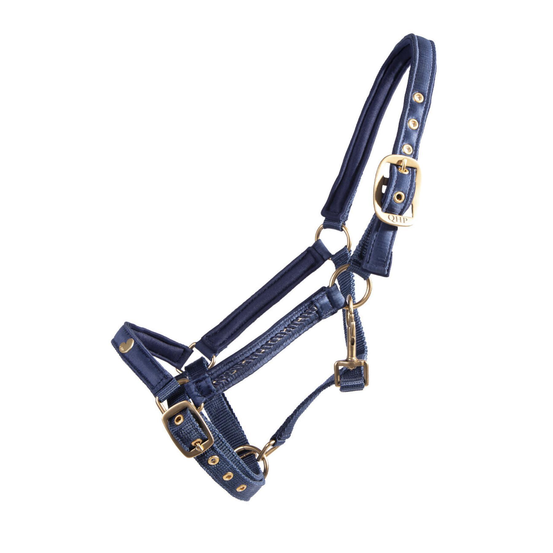 Halter for foal QHP Lily