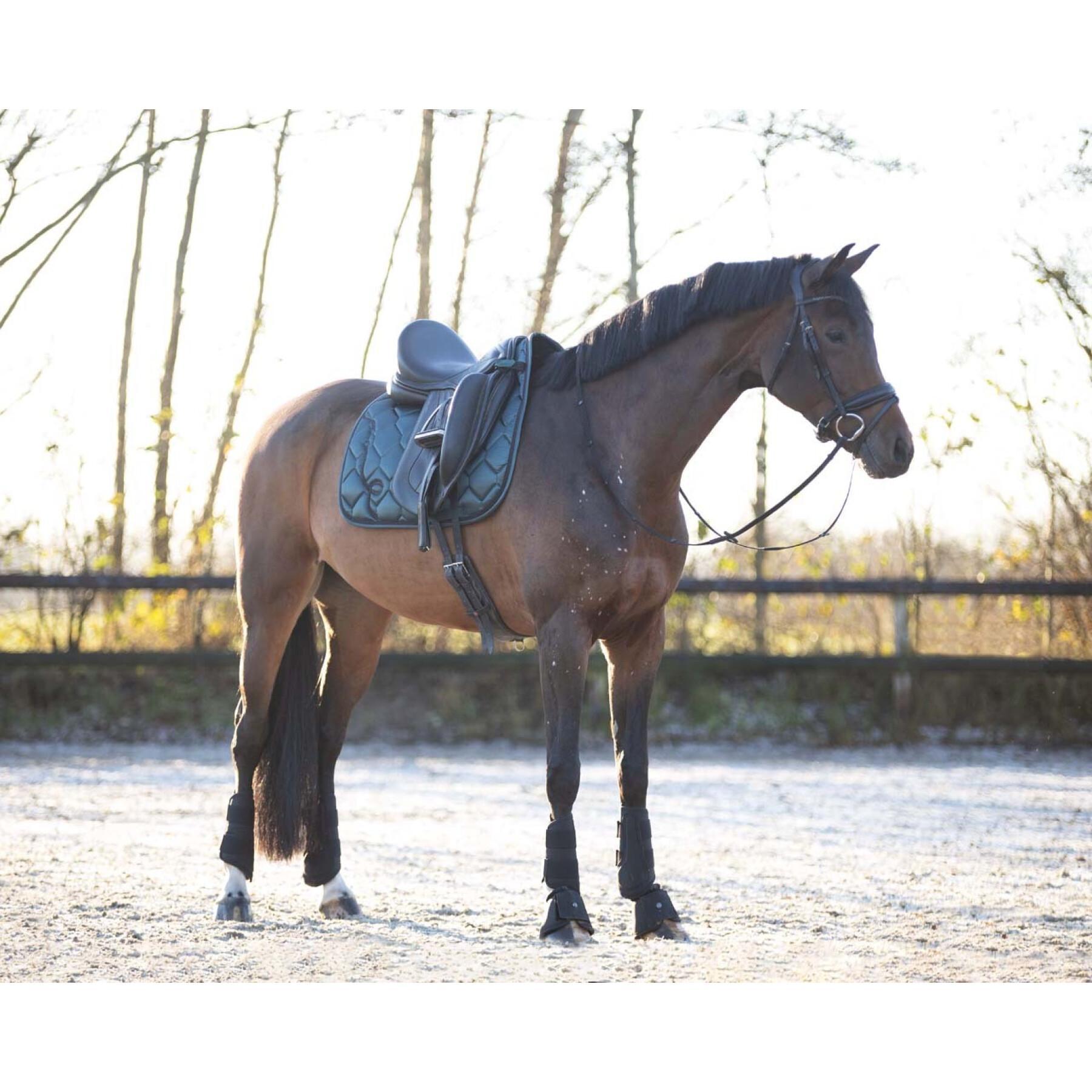 Saddle pad for horses QHP Fenna