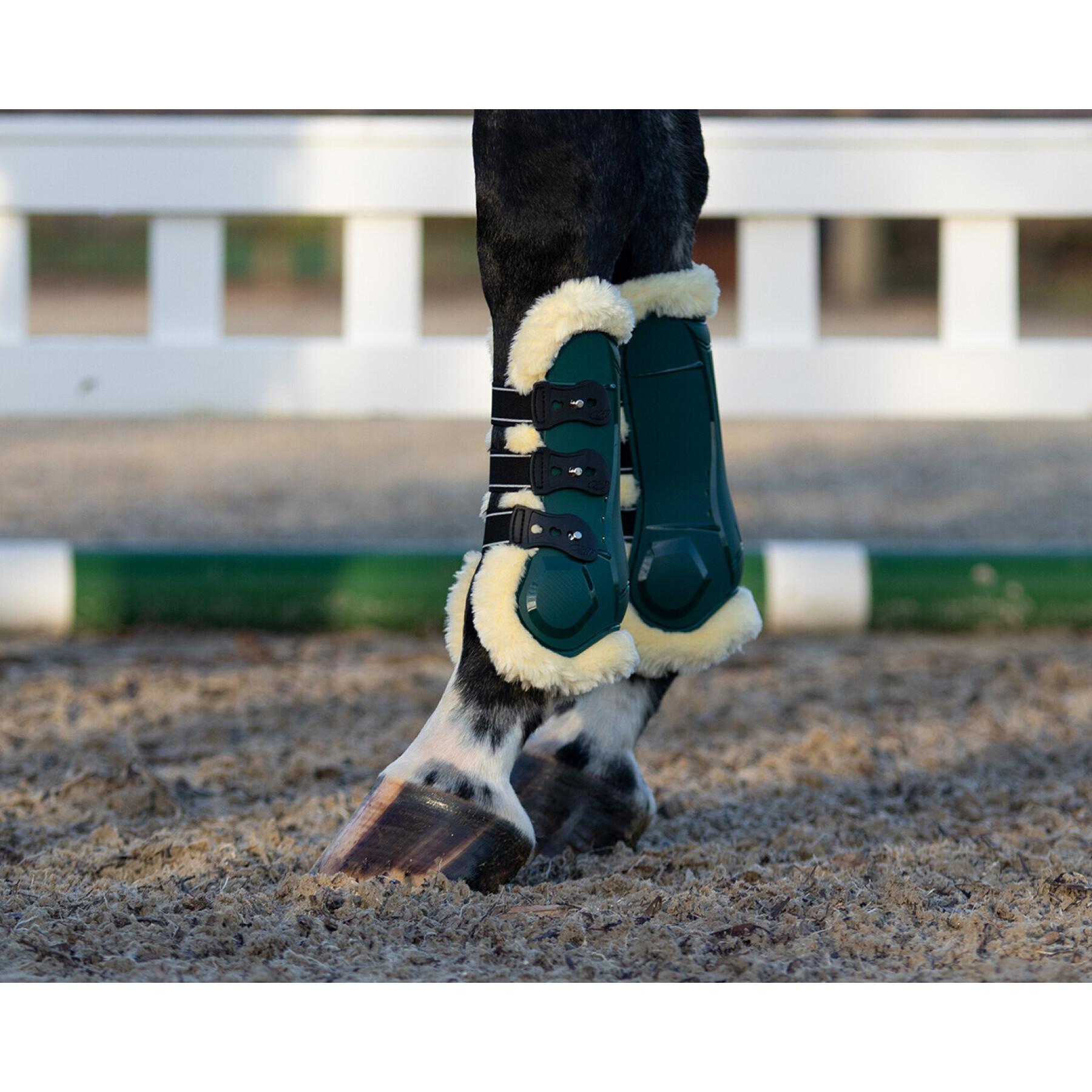 Front gaiters for open horses QHP Ontario