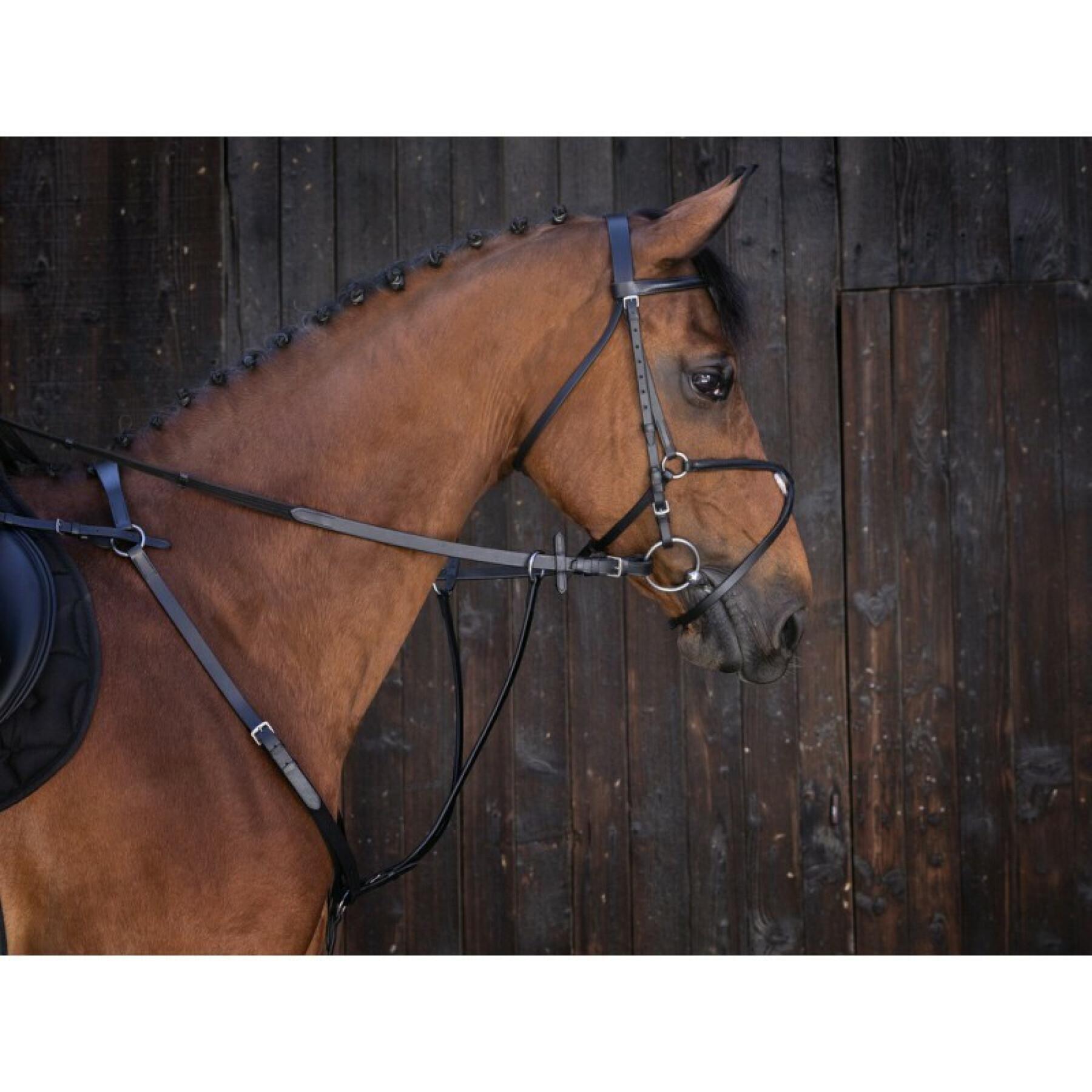 Martingale with rings Riding World