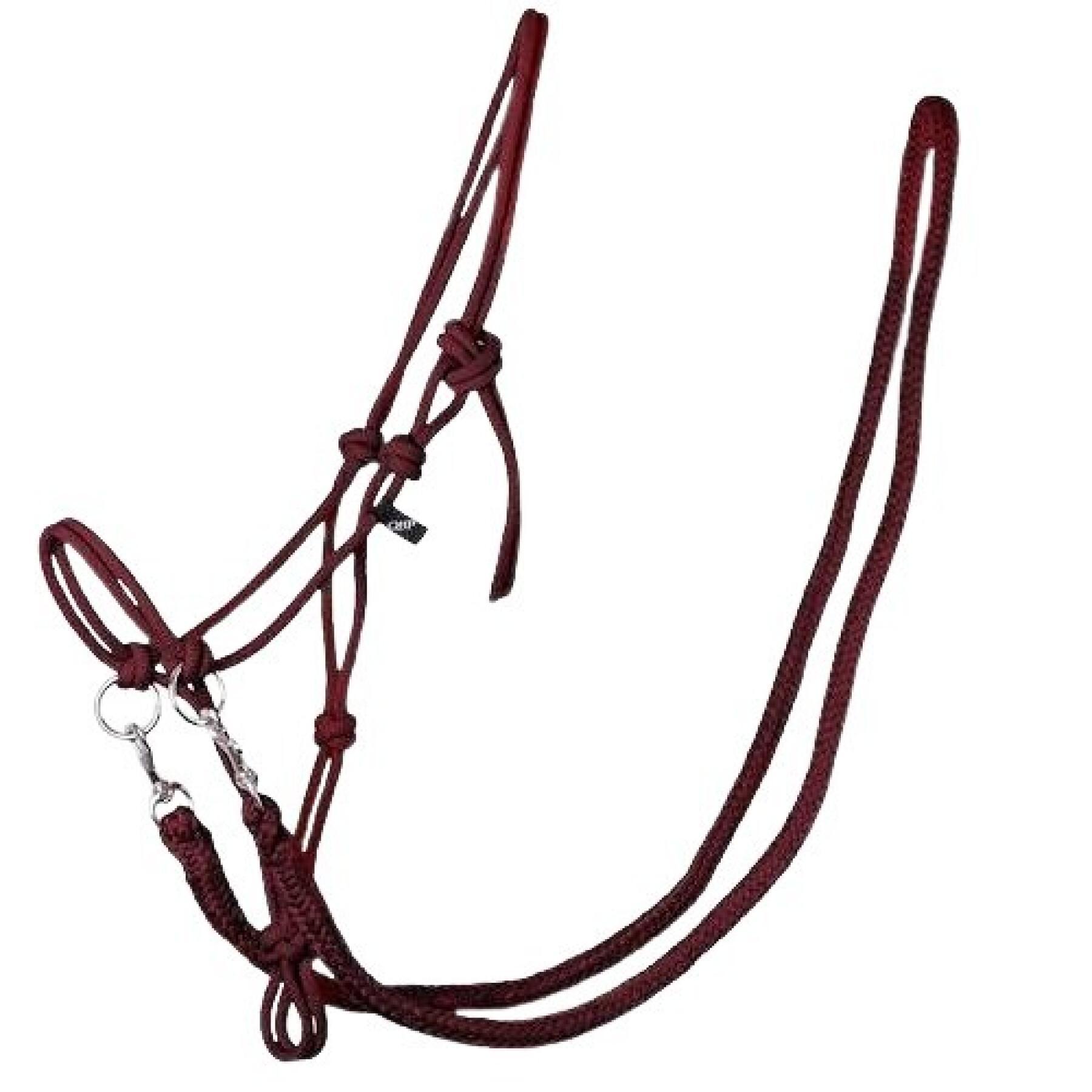 Halter for horse QHP