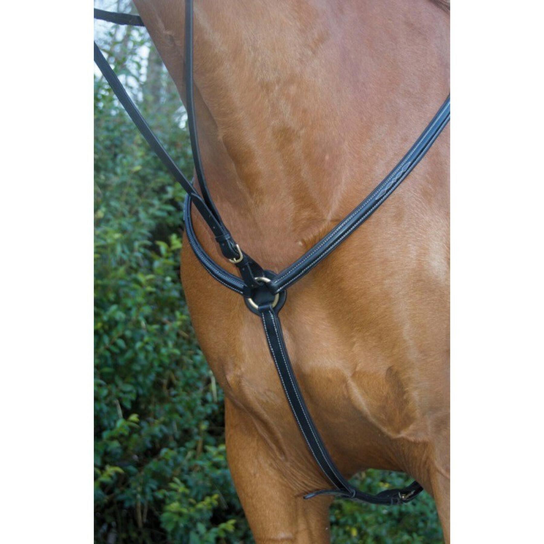 Hunting collar for horse doubledT de T