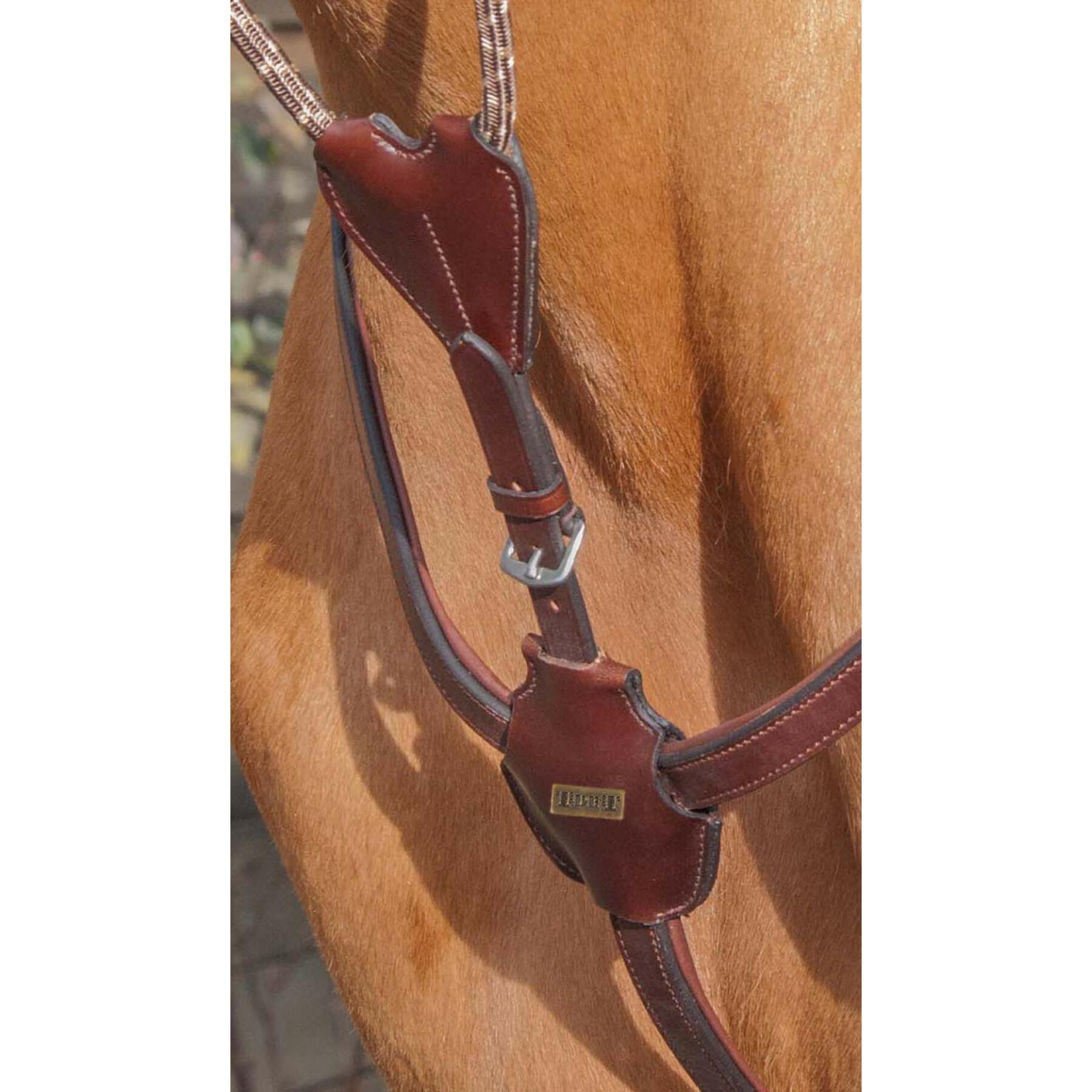Luxury horse hunting collar with bridge T de T