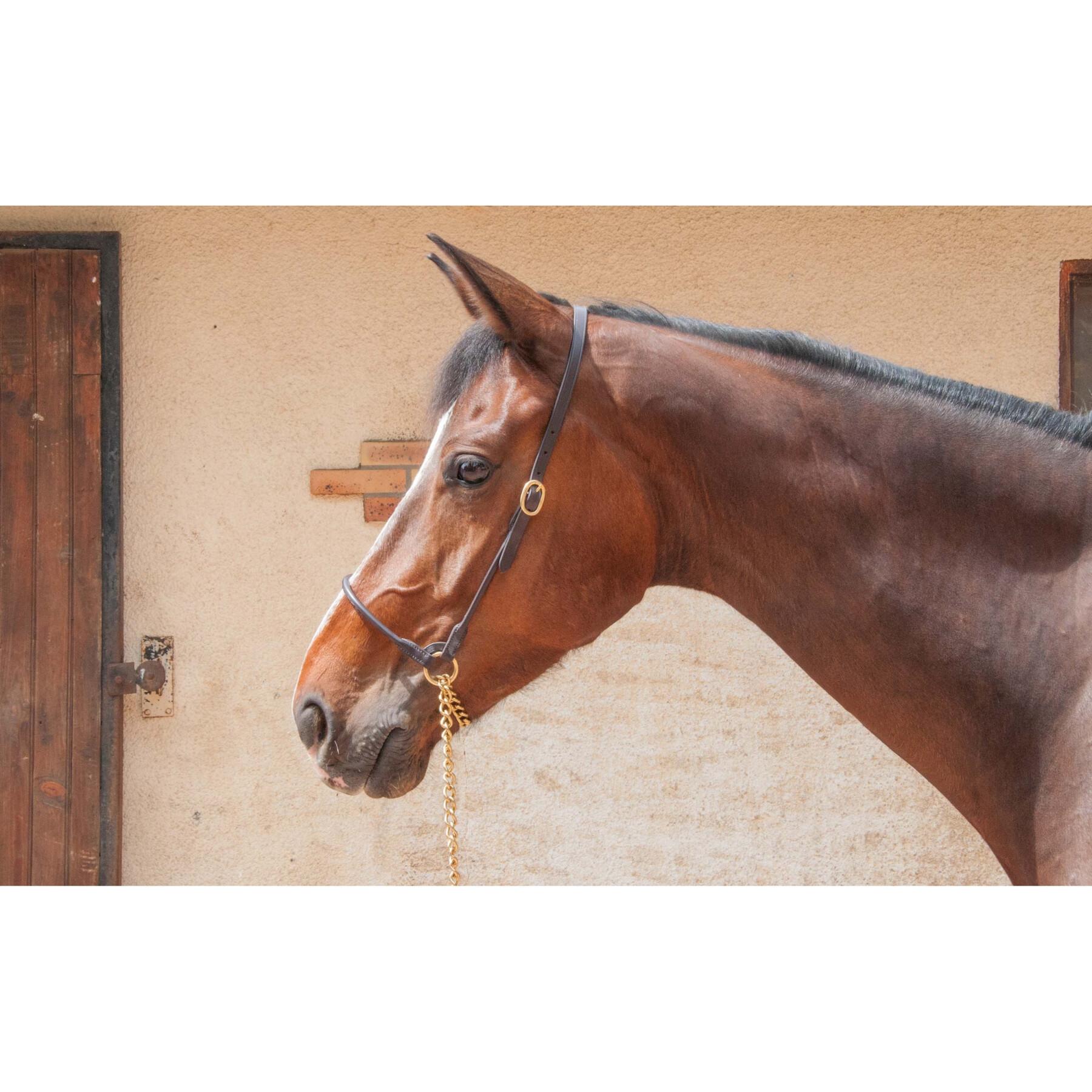 Leather halter for horses T de T