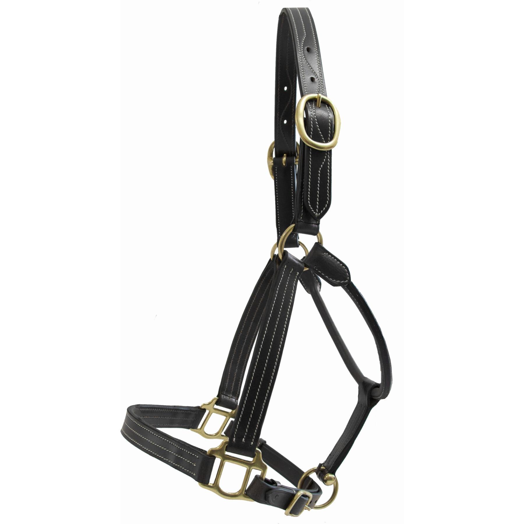 Leather halter for horses T de T Trippled Stiched