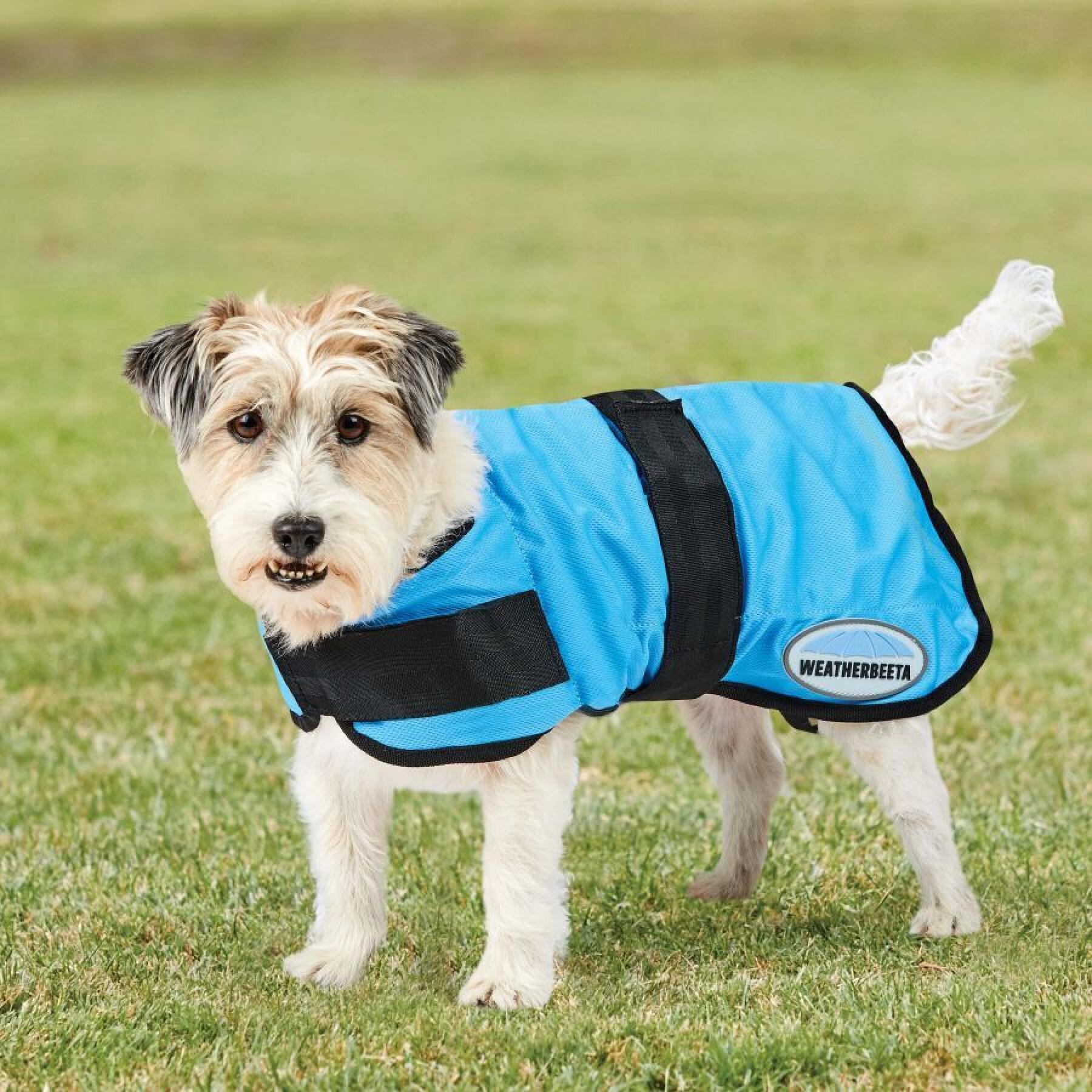 Cooling coat for dogs Weatherbeeta Therapy-Tec