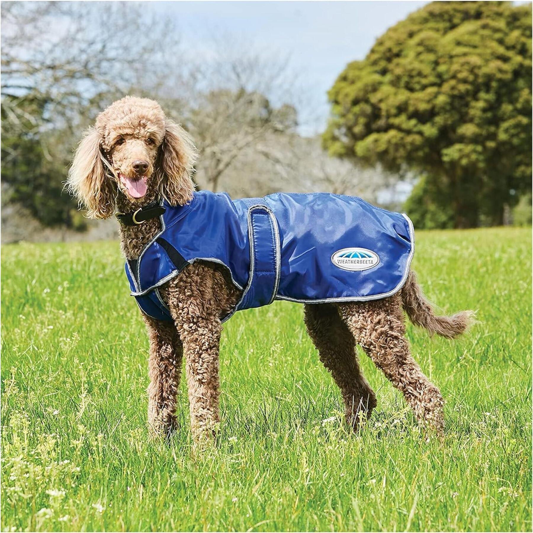 Dog coat Weatherbeeta ComFiTec Windbreaker Free Deluxe