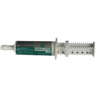 Recovery syringe for horses LPC Quick Lythe Flash