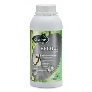 Food supplement for horses Ravene Becool