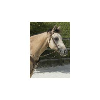 Bridles for horses Westride Franck Perret colorado
