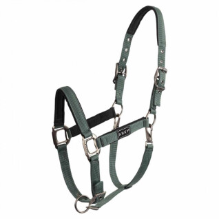 Leather halter for horses ANKY Grooming