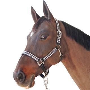 Halter and lead rope set for horse Canter Pied De Poule