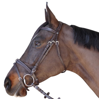 Bridle flat lined Canter