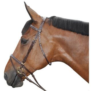 Combined riding bridles with stitching Canter