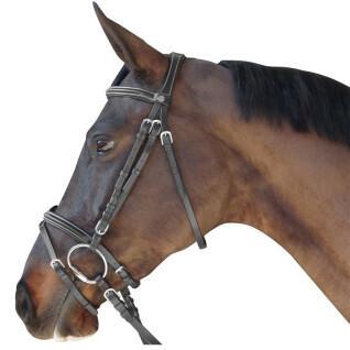 Combined riding bridles with stitching Canter