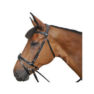 Riding bridles Canter Rose gold
