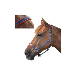 Lined leather halter for horses Canter