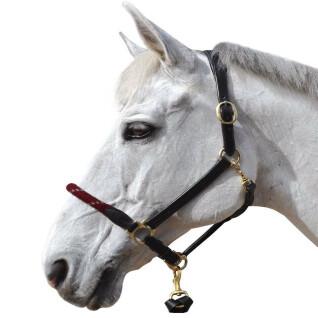 Rope halter for horse Canter