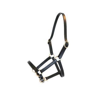 Halter for foal horse leather presentation Canter