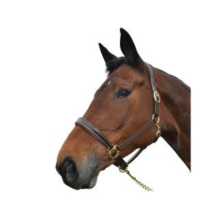 Leather halter for horse Chetak Bright