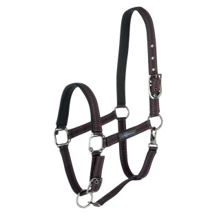 Halter for horse Covalliero Royal