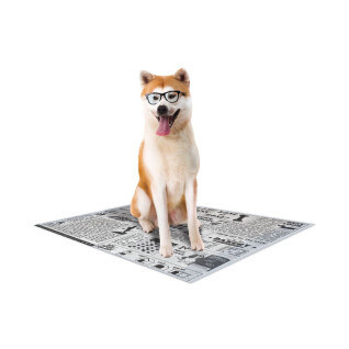 Dog mat Croci Canifrance Super Nappy Newspaper (x60)