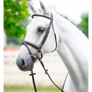 Round curved horse bridles with stainless steel buckle Daslö