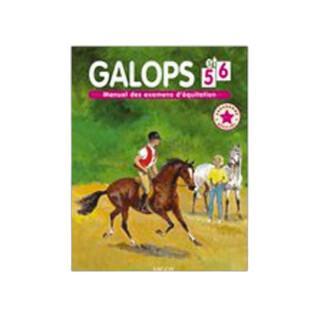 Gallop book 5 and 6 Ekkia