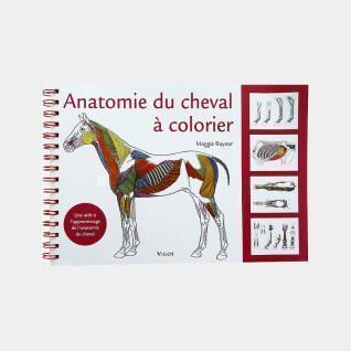 Anatomy book of the horse to color Ekkia