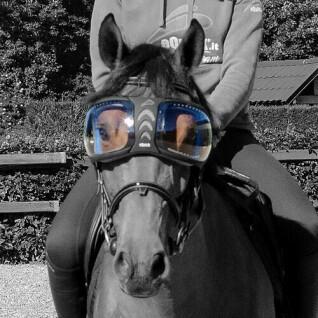 Spare glasses horse Equick eVysor