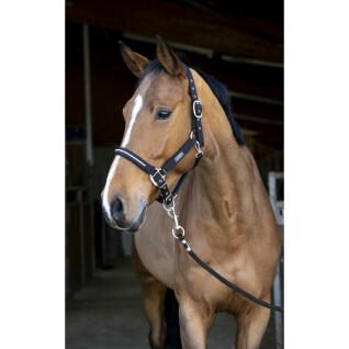 Halter and lead rope set for horse Equithème French Touch