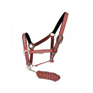 Halter + lead rope set Flags&Cup Colca