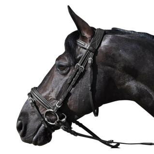 Riding bridles Flags&Cup Hickstead