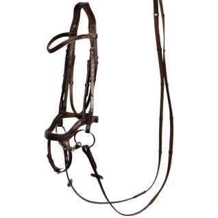 Bridles for horses Harry's Horse Anatomic