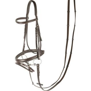 Luxury bridles combined Harry's Horse