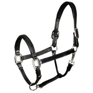 Padded leather halter for horses Harry's Horse