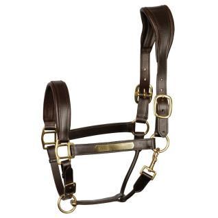 Anatomic leather halter for horses Harry's Horse