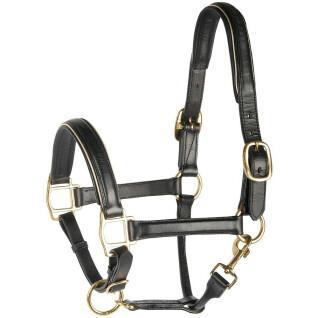 Leather horse halter with piping Harry's Horse